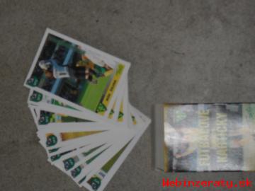 SADA futbalovch kartiiek: 21 ks