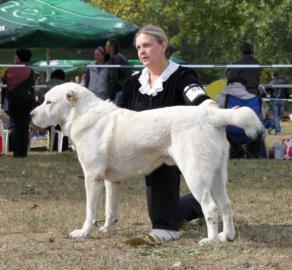 Stredoaziaty steniata od rodicov s Ruska