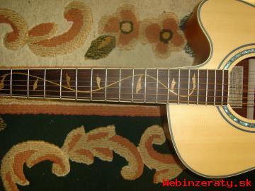 Ibanez AEL 40se s tvrdm kufrom