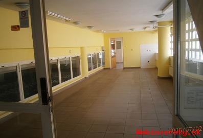 ilina centrum - obchodn priestor 48 m2