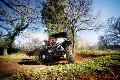 Predm buggy Gladiator Z8 EFI