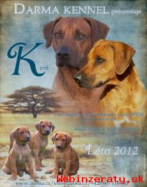 Rhodesian ridgeback s pp