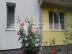 RK-GRAFT pon�ka 1-izb.  byt Narcisova ul