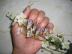 G�lov� nechty