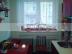 RK-GRAFT pon�ka 1-izb.  byt Sv�toplukova
