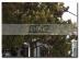 RK-GRAFT pon�ka 2-izb.  RD Rumunsk� ul. 