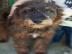Ferko h�ad� domov